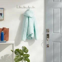 Modern Octopus 5 Hooks Rail Nickel/White - Brightroomâ„¢